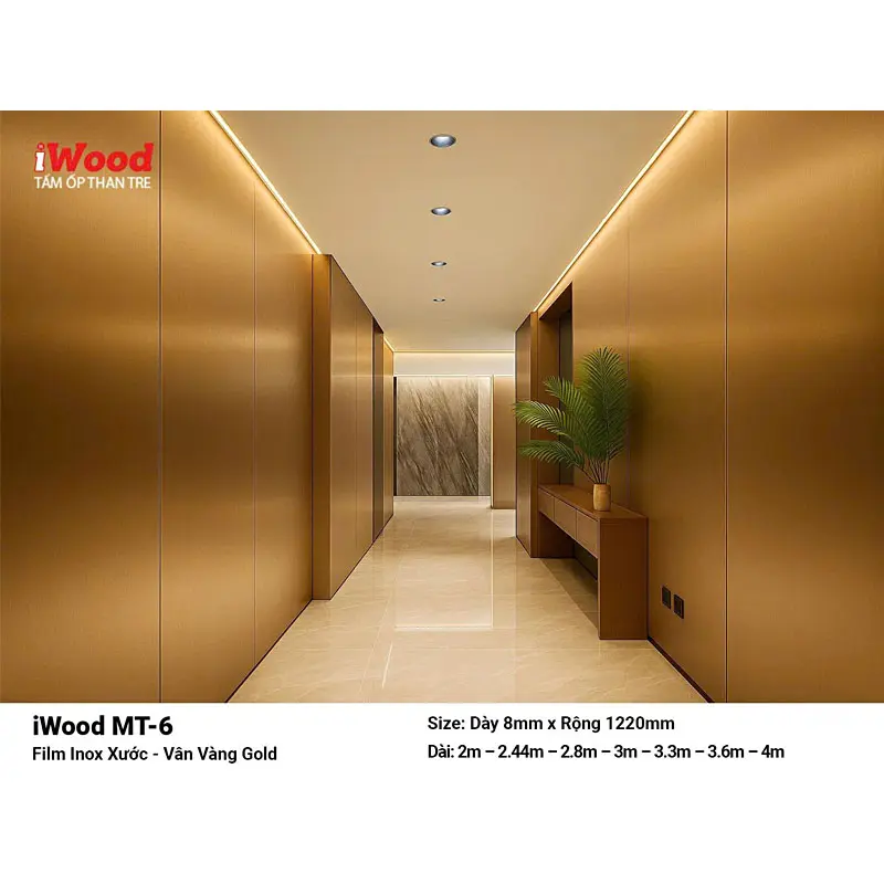 tam-op-than-tre-inox-xuoc-mt6-6.6.webp