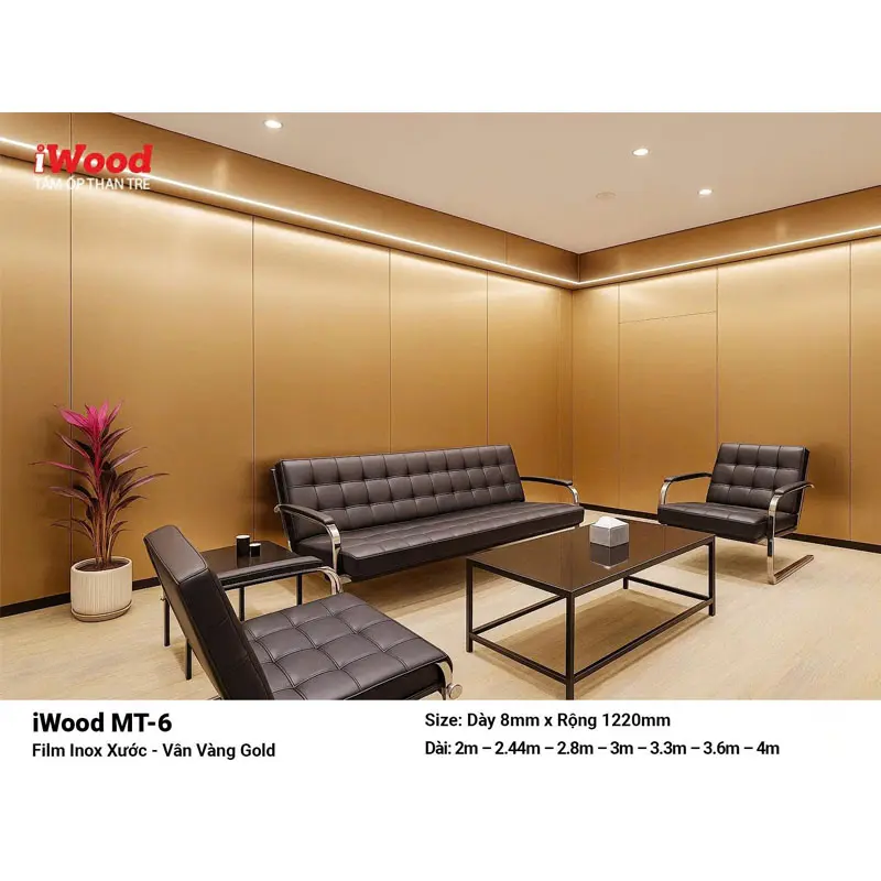 tam-op-than-tre-inox-xuoc-mt6-6.5.webp