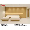 iWood-WEIR-1.1.webp