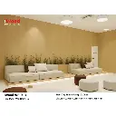 iWood-WEiR-3.7.webp