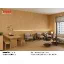 iWood-WEiR-3.3.webp