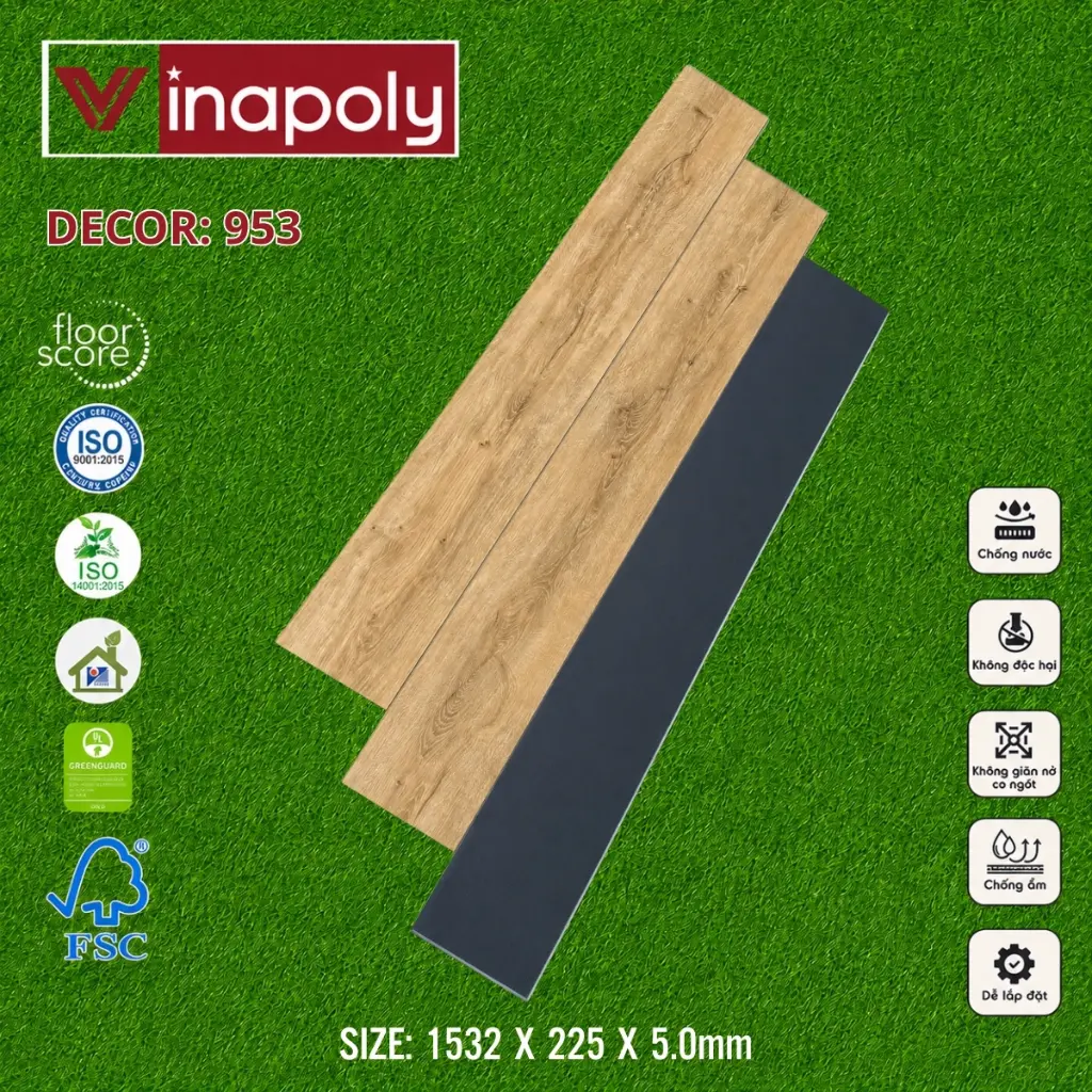 ma 953.webp