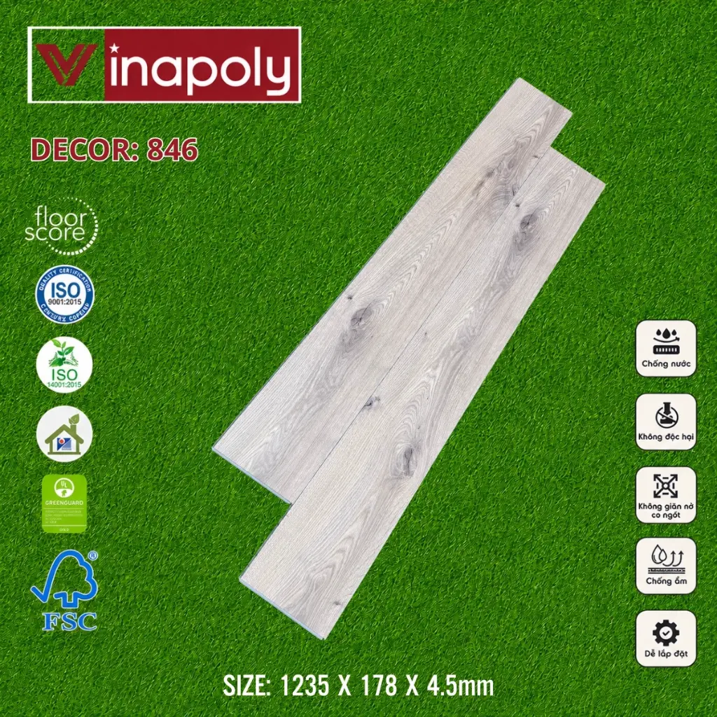 ma 846 (1).webp