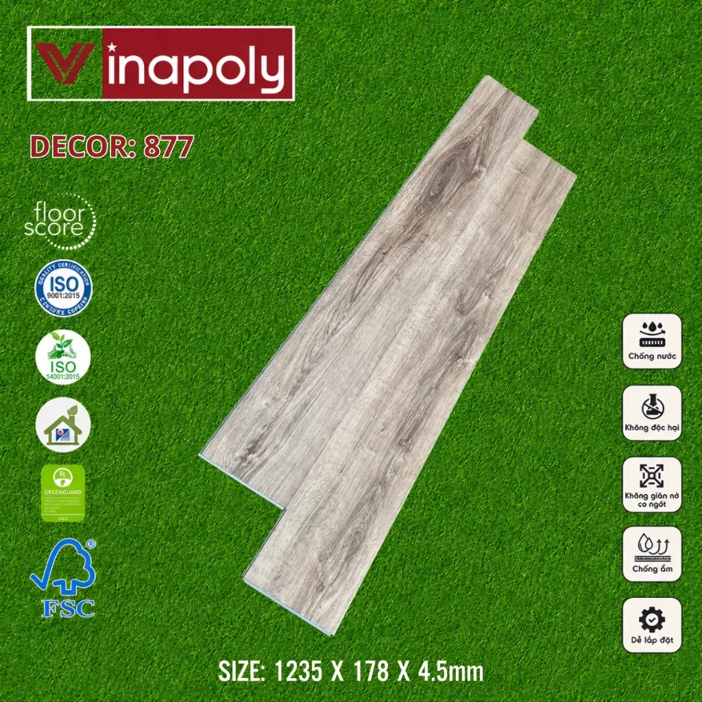 ma 877 (1).webp