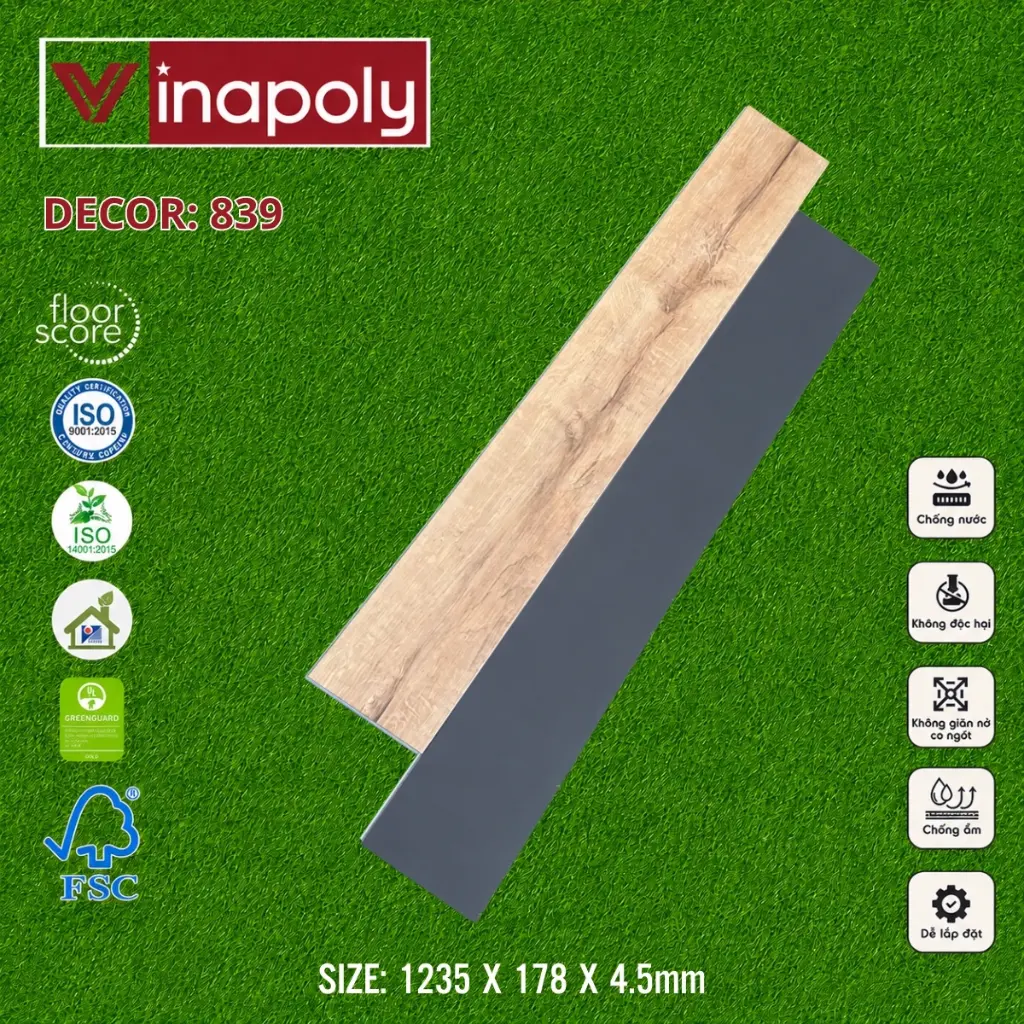 ma 839 (2).webp