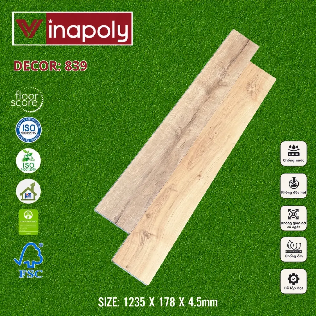 ma 839 (1).webp