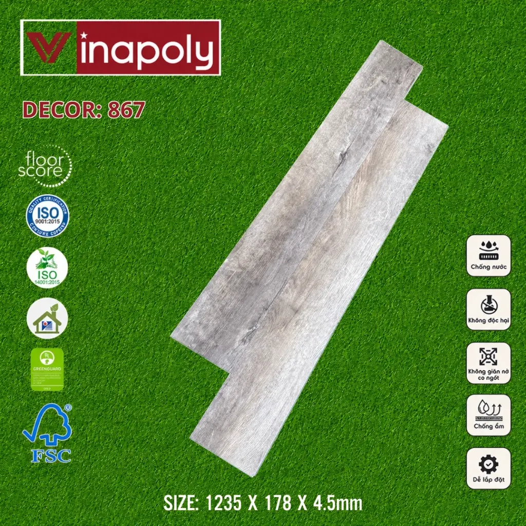 ma 867 (1).webp