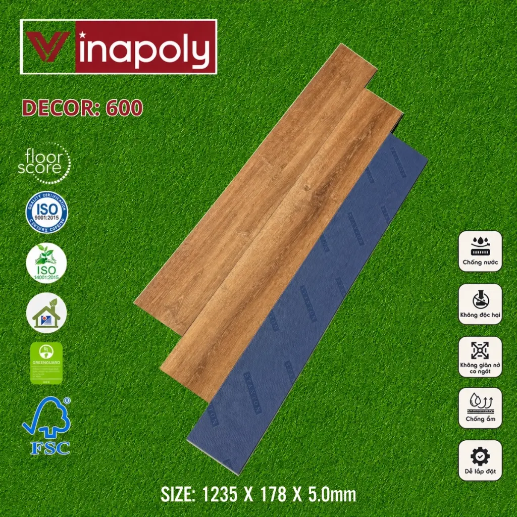ma 600.webp