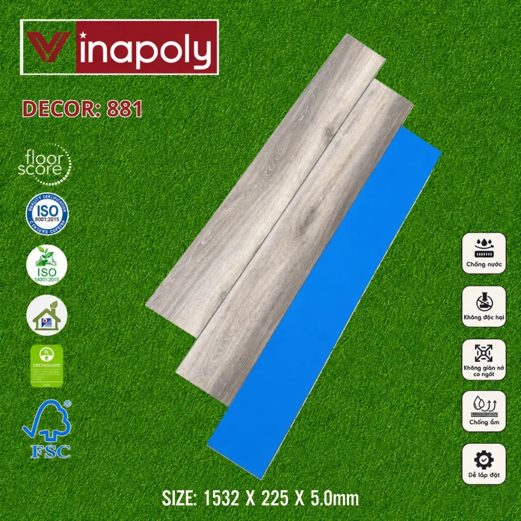 ma 881.webp