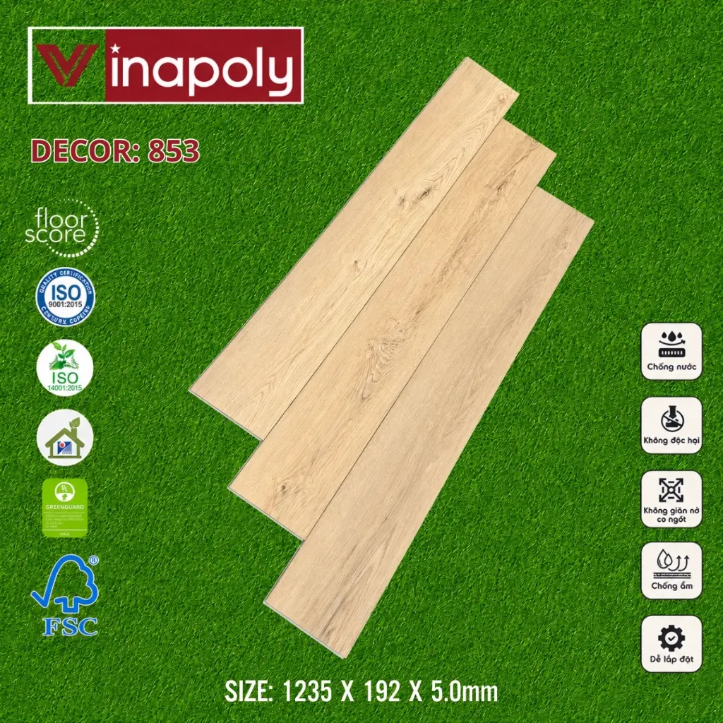 ma 853.webp