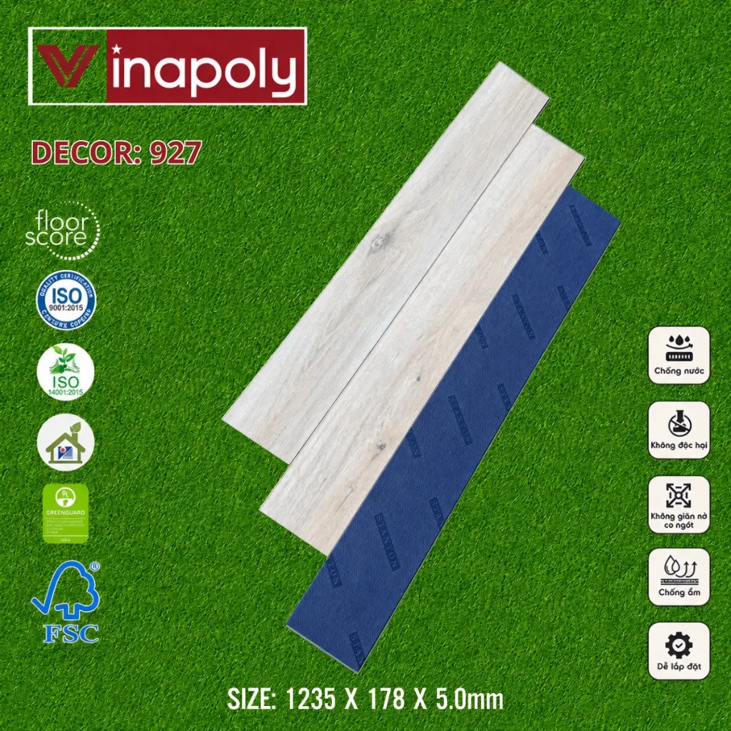 ma 927.webp