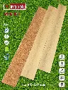 623.webp