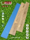 631.webp