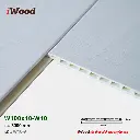 iwood-w10-9-hinh-3.webp