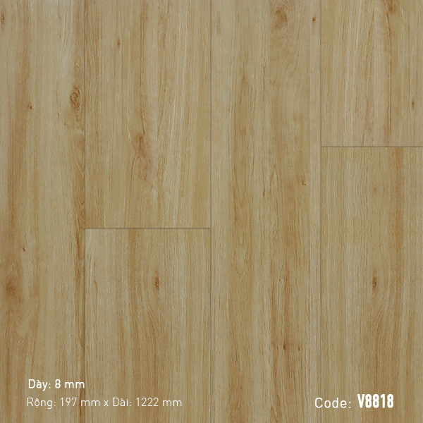 Sàn Gỗ 3K Vina V8818