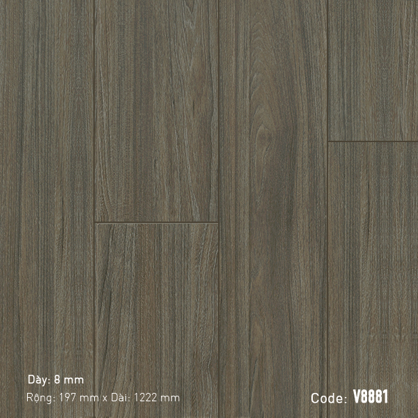 Sàn Gỗ 3K Vina V8881