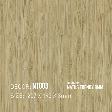 Sàn Gỗ Dongwha NT003