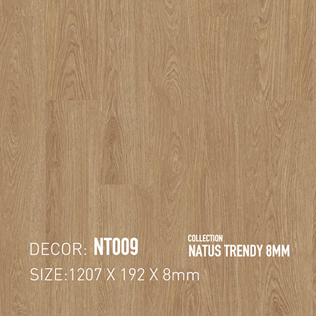 Sàn Gỗ Dongwha NT009
