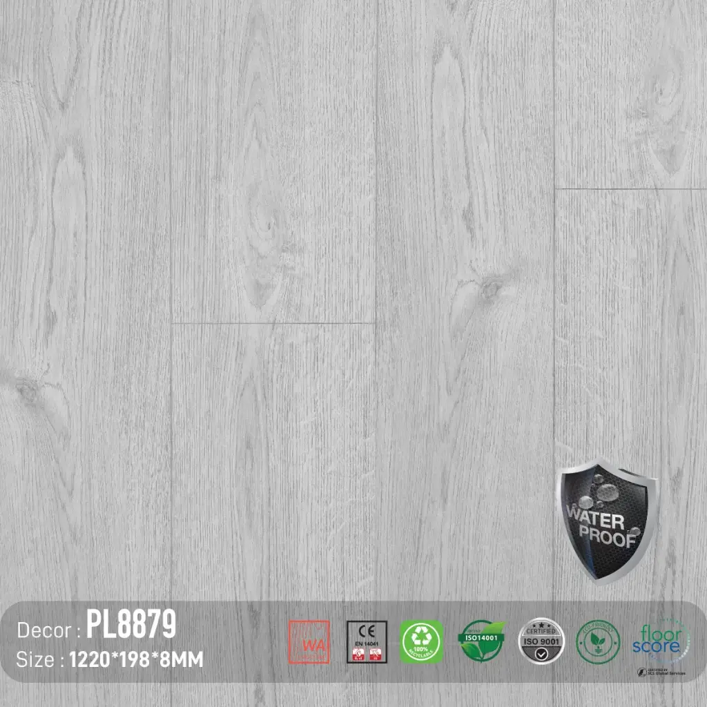 Sàn Gỗ Dream Lux PL8879
