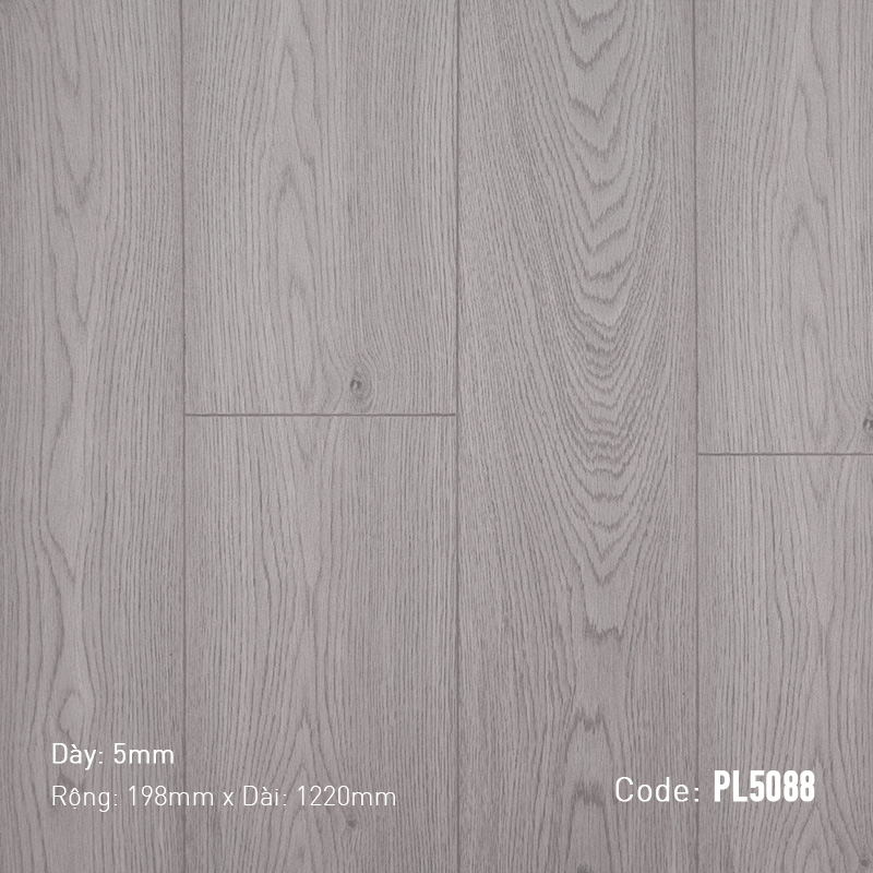 Sàn Gỗ Dream Prolux PL5088