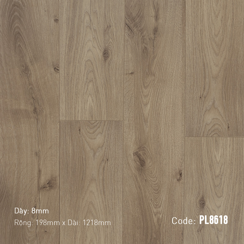 Sàn Gỗ Dream ProLux PL8618