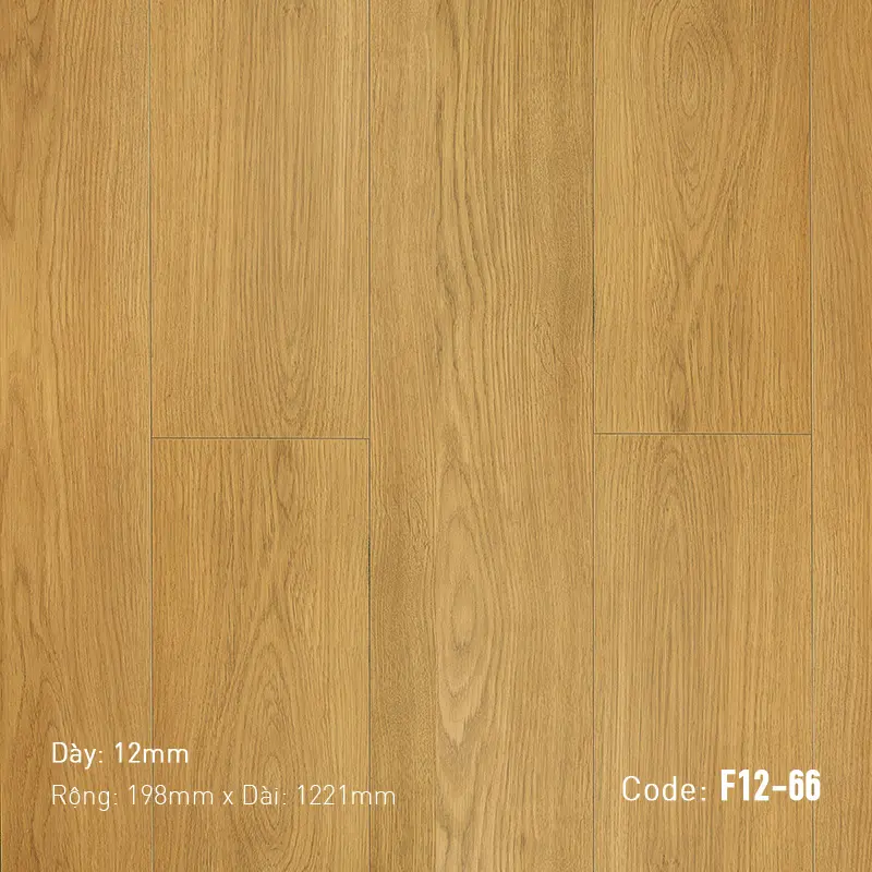 Sàn Gỗ Nam Việt F12-66