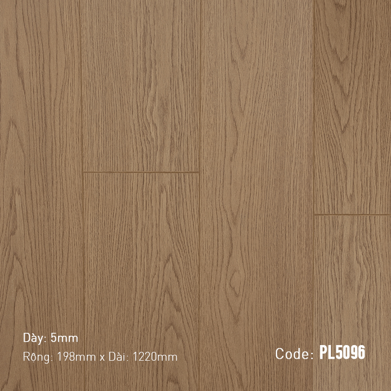 Sàn Gỗ Dream Prolux PL5096