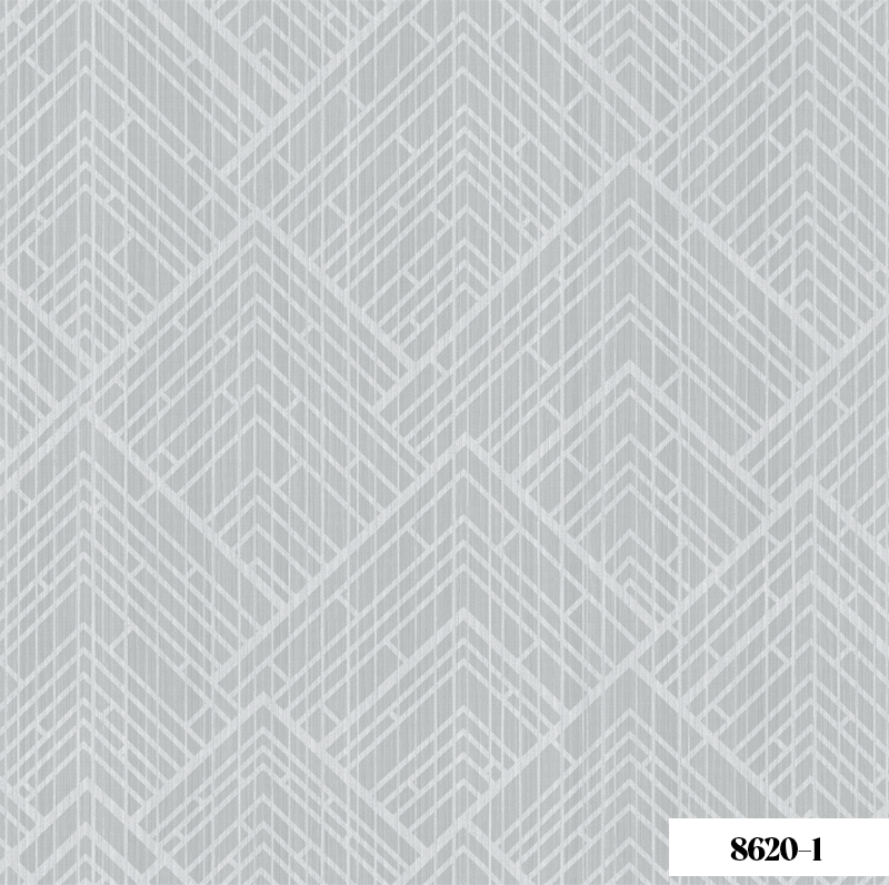 Giấy Dán Tường Joinus 8620-1