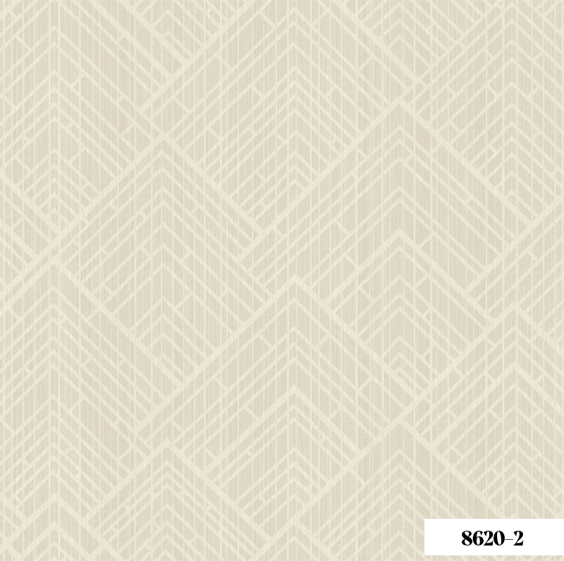 Giấy Dán Tường Joinus 8620-2