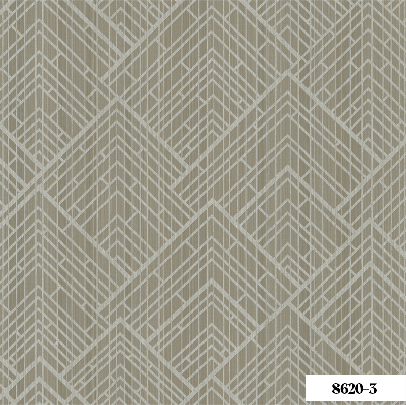 Giấy Dán Tường Joinus 8620-3