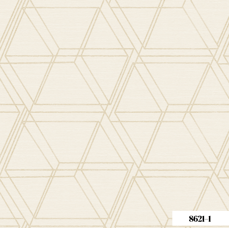 Giấy Dán Tường Joinus 8621-1