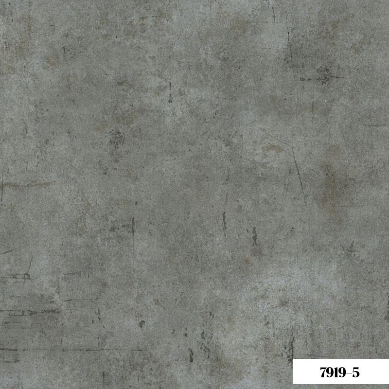 Giấy Dán Tường V-Concept 7919-5