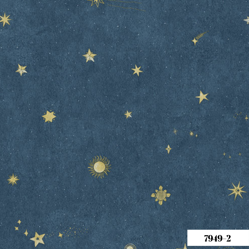 Giấy Dán Tường V-Concept 7949-2