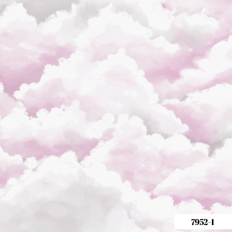 Giấy Dán Tường V-Concept 7952-1