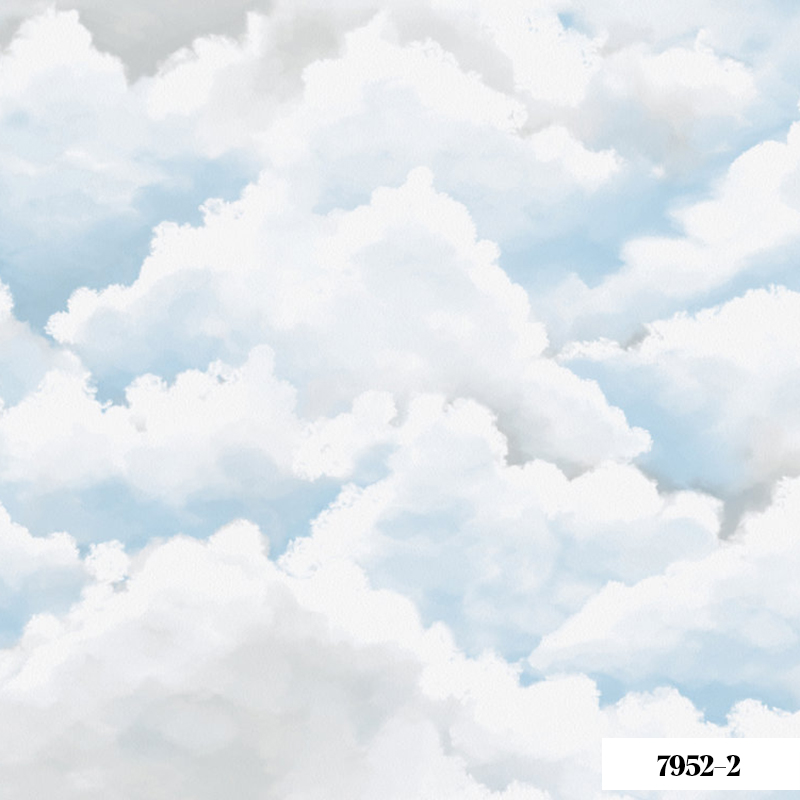 Giấy Dán Tường V-Concept 7952-2