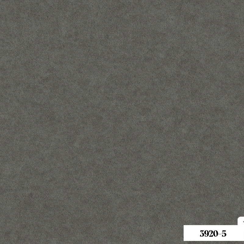 Giấy Dán Tường Xavia 3920-5