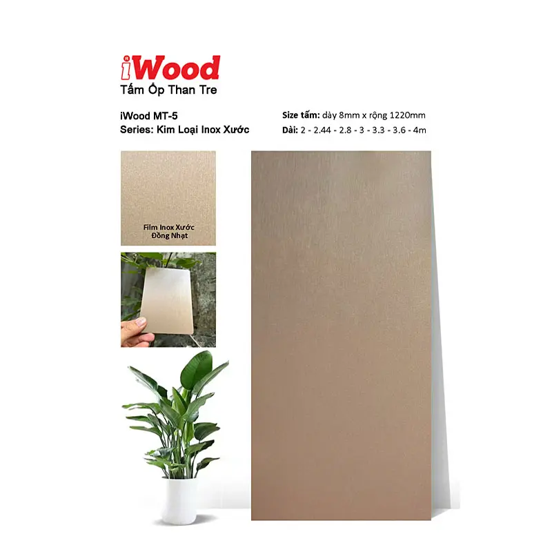 Tấm Than Tre Film Inox Xước MT-5