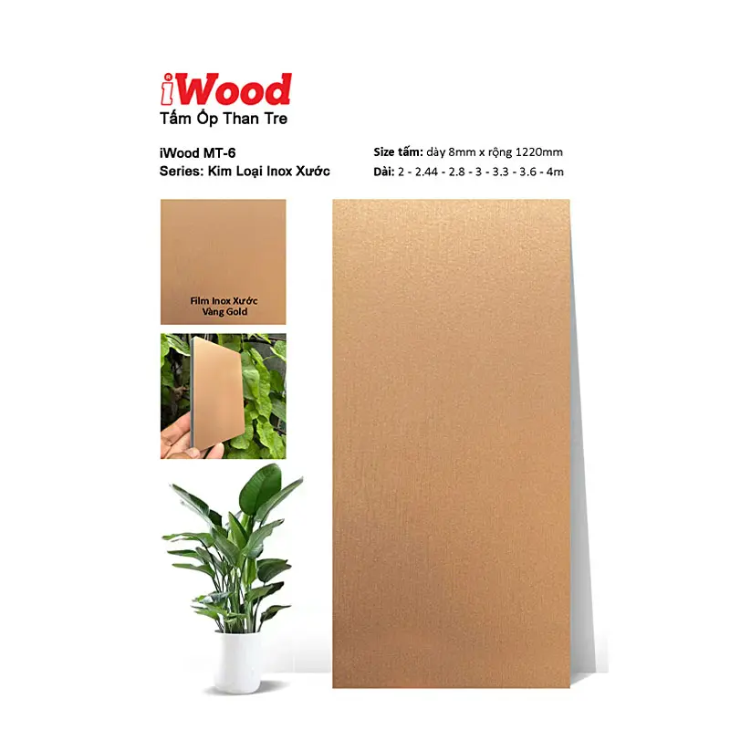 Tấm Than Tre Film Inox Xước MT-6