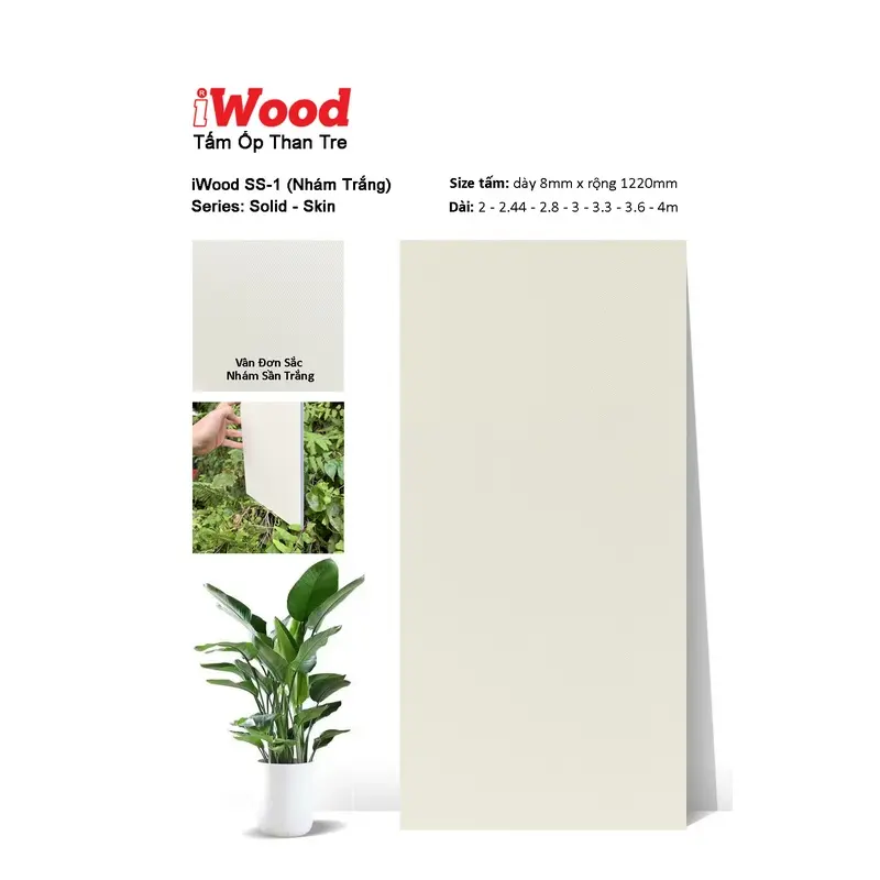 Tấm Than Tre Film đơn sắc SS-1