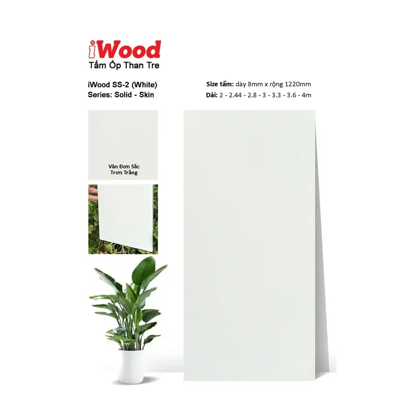 Tấm Than Tre Film đơn sắc SS-2