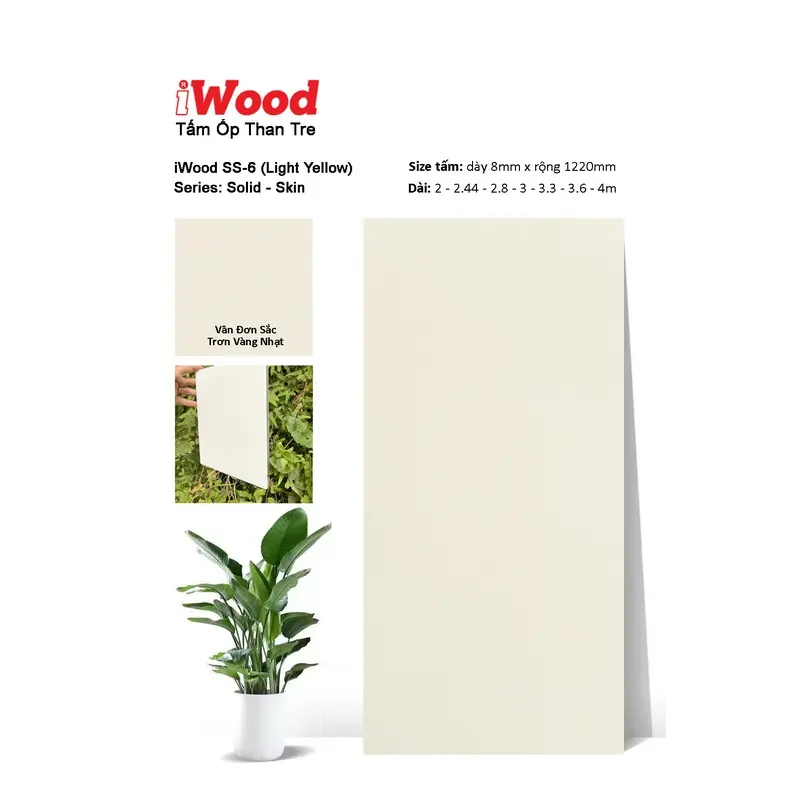 Tấm Than Tre Film đơn sắc SS-6