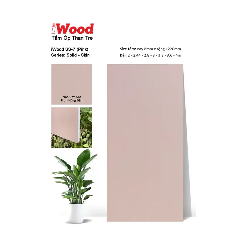 Tấm Than Tre Film đơn sắc SS-7