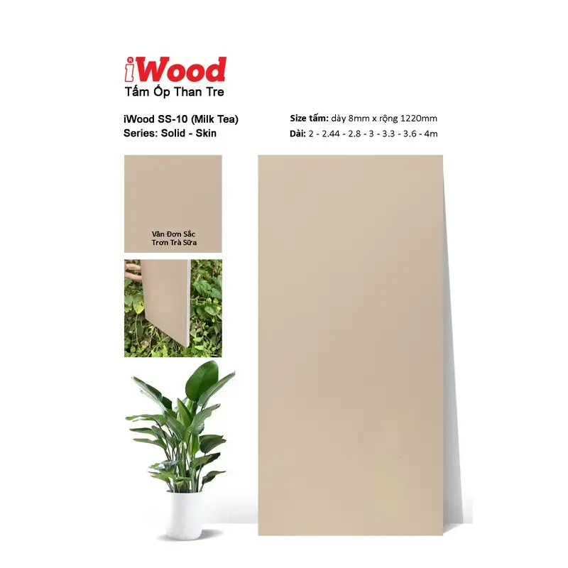 Tấm Than Tre Film đơn sắc SS-10