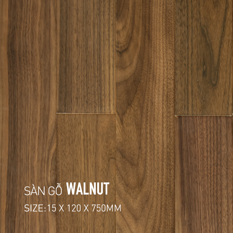 Sàn gỗ Walnut 120x750mm