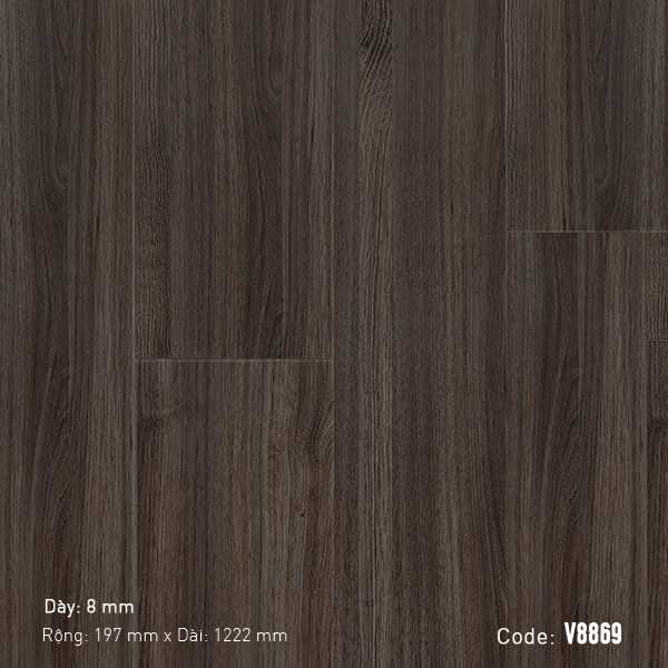 Sàn Gỗ 3K Vina V8869