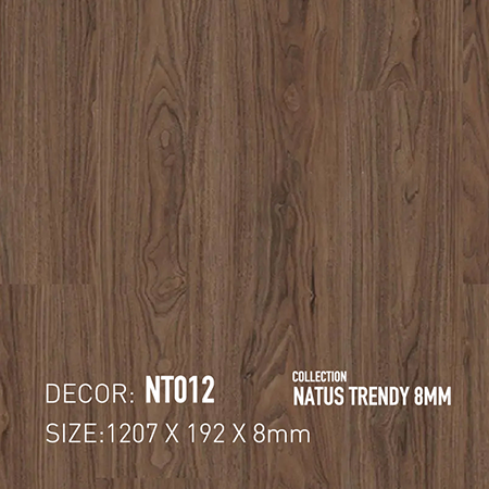 Sàn gỗ Dongwha NT012