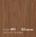 Sàn gỗ Dongwha NT011