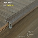 Nẹp Mũi Bậc CKT018